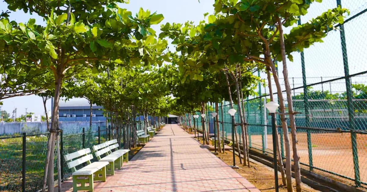 Walking & Jogging Tracks