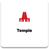 Electricity Icon