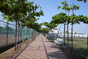 Walking & Jogging Tracks