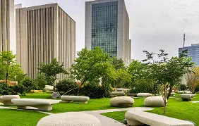 Ample Green Space